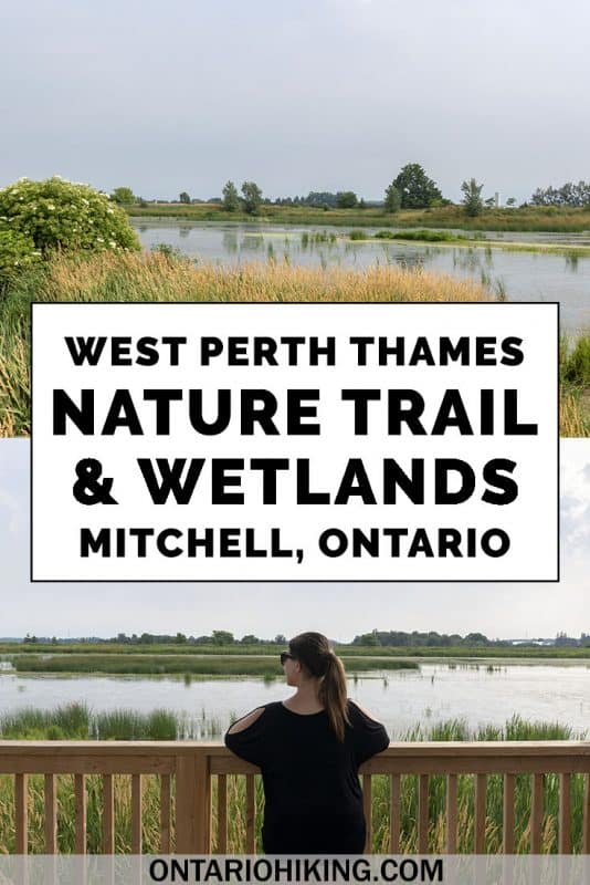 Let's travel to the small town of Mitchell, Ontario in Perth County for a fabulous hike. Go hiking on the West Perth Thames Nature Trail and West Perth Wetlands to admire scenery of the river and spot migratory birds. #Hiking #Ontario #Canada #Mitchell #PerthCounty #Wetlands #Birdwatching