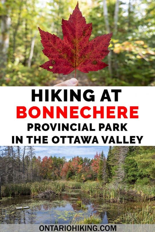 Bonnechere Provincial Park offers unique, informative, and beautiful hiking trails in the Ottawa Valley. Venture to the McNaughton Trail at the park or several of the Walks of the Little Bonnechere River. Let me show you all the best places to go hiking at one of the top Ontario Parks. #Ottawa #OttawaValley #Hiking #HikingTrails #Ontario