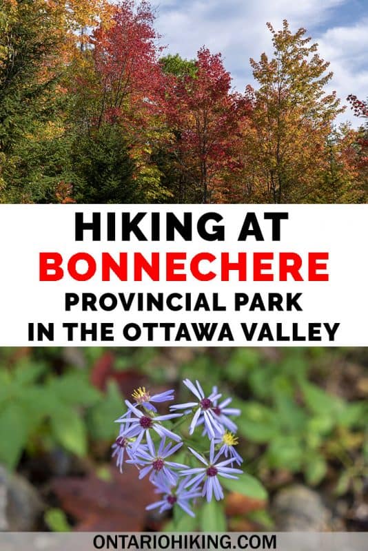 Bonnechere Provincial Park offers unique, informative, and beautiful hiking trails in the Ottawa Valley. Venture to the McNaughton Trail at the park or several of the Walks of the Little Bonnechere River. Let me show you all the best places to go hiking at one of the top Ontario Parks. #Ottawa #OttawaValley #Hiking #HikingTrails #Ontario