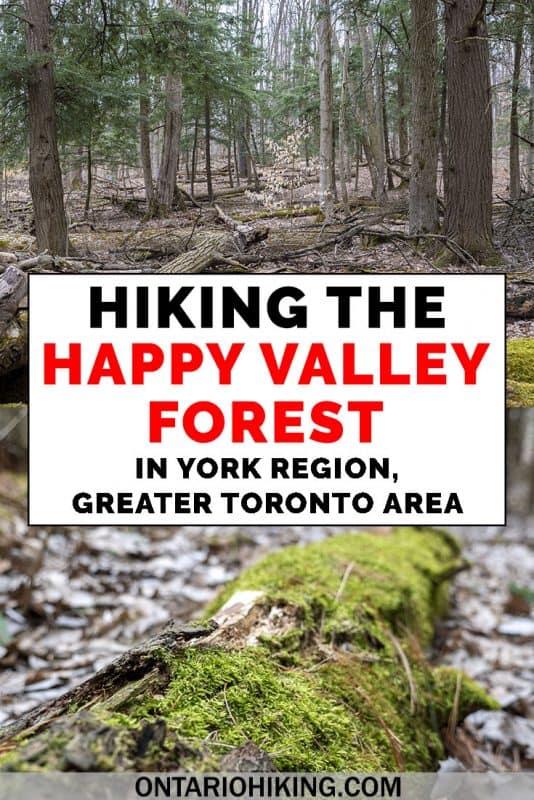 How to hike at Happy Valley Forest, part of the York Regional Forest in the GTA (Greater Toronto Area). It's a beautiful natural space that's part of the Oak Ridges Moraine Trail, and it's the largest in tact deciduous forest in the region. Go hiking at this little visited hiking trail near Toronto, Ontario. #HappyValleyForest #HikingTrail #OntarioTrail #Ontario #Toronto #GTA