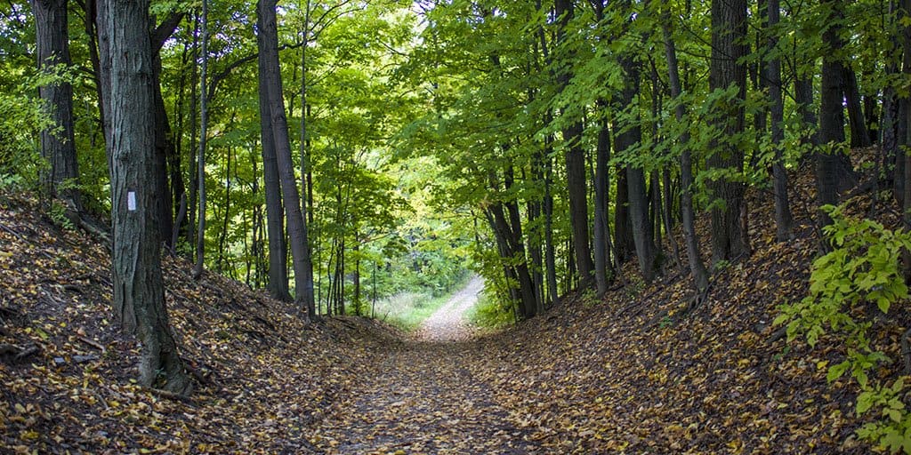 CASQUES ILES TRAIL • Ontario Nature Trails