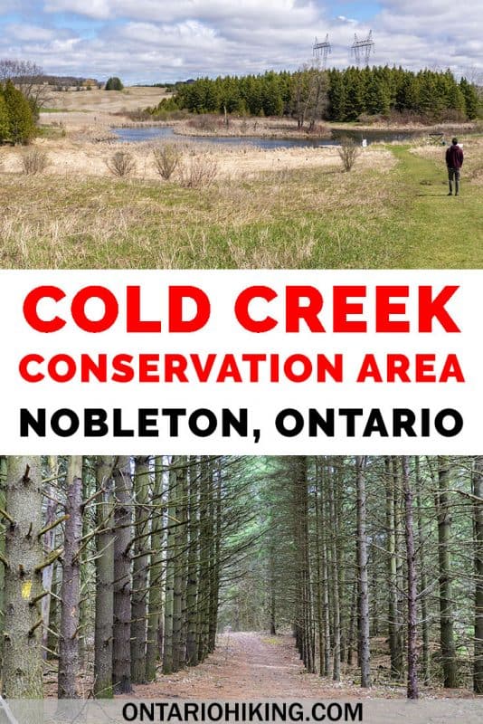 Cold Creek Conservation Area is a protected natural space in York Region (Greater Toronto Area). There's a variety of beautiful scenery and wildlife viewing opportunities all in one trail: pine forests, wetlands, bogs and swamps. It's the perfect day trip from Toronto! #Hiking #Ontario #Canada #Trails #ConservationArea