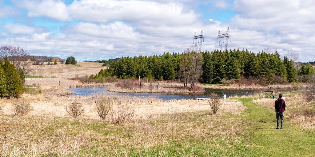 Cold Creek Conservation Area