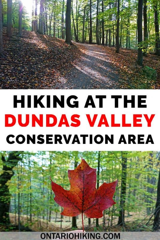 The Dundas Valley Conservation Area offers some of the best hiking in southern Ontario, Canada. There are intriguing old ruins, a Victorian train station, and 40km of hiking trails to explore. #DundasValley #ConservationArea #OntarioHiking #Canada #Ontario #HikingTrails