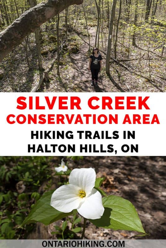 Silver Creek Conservation Area features the Bruce Trail and several side trails. It's a great place to hike in Halton Hills, Ontario, and it's one of the Credit Valley Conservation Areas. Boardwalks, river scenery, rocky trails, escarpment views...this conservation area has got it all. #SilverCreek #ConservationArea #OntarioHiking #Hiking #Ontario #Canada #Trails