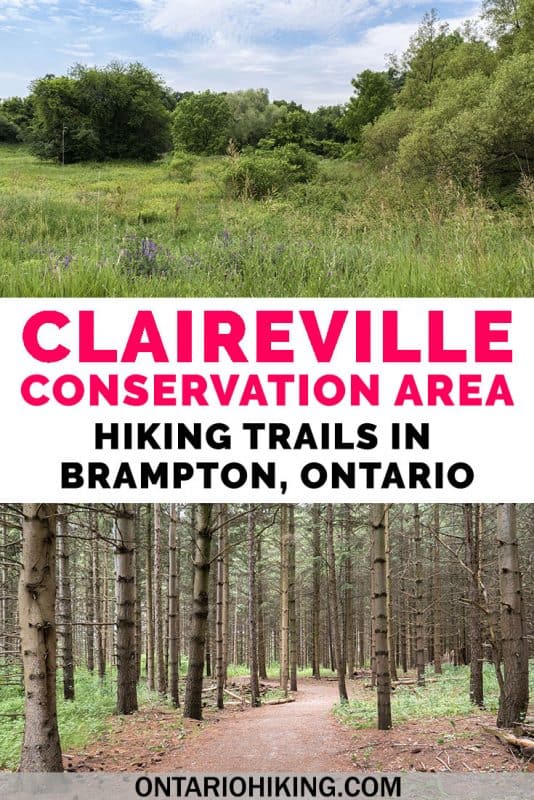 Claireville Conservation Area is one of the best places to go hiking in Brampton, Ontario. There are many side trails and varying scenery, like forests, wetlands, rolling hills, meadows, and creeks. Here's how to take a day hike in Brampton. #Hiking #Ontario #Canada #Brampton #HikingTrails
