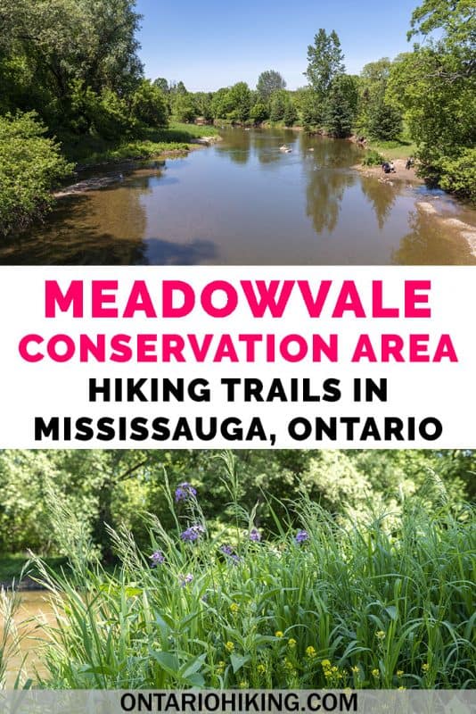 Meadowvale Conservation Area is one of the most scenic areas in Mississauga, Ontario, Canada. Hike on the Culham Trail along the Credit River for beautiful views. #Mississauga #Hiking #Toronto #GTA #Trails