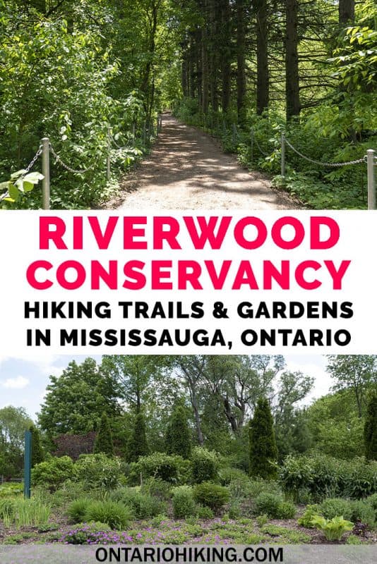 Riverwood Conservancy is home to beautiful gardens and hiking trails in Mississauga, Ontario. There are forests and trails to explore on the Credit River in the heart of the city. Here's why you need to visit this stunning park in the Greater Toronto Area. #Mississauga #GTA #Toronto #Garden #HikingTrails #BotanicalGarden