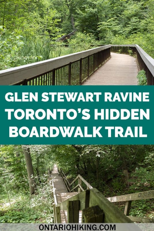 You'd hardly believe that this scenic hiking trail is in the middle of Toronto! The Glen Stewart Ravine is a hidden forest oasis with an elevated boardwalk. It's a lovely hike with a canopy of trees overhead, and one of the best places to walk and explore nature in Toronto. #Toronto #Ontario #Canada #Hiking #Trails