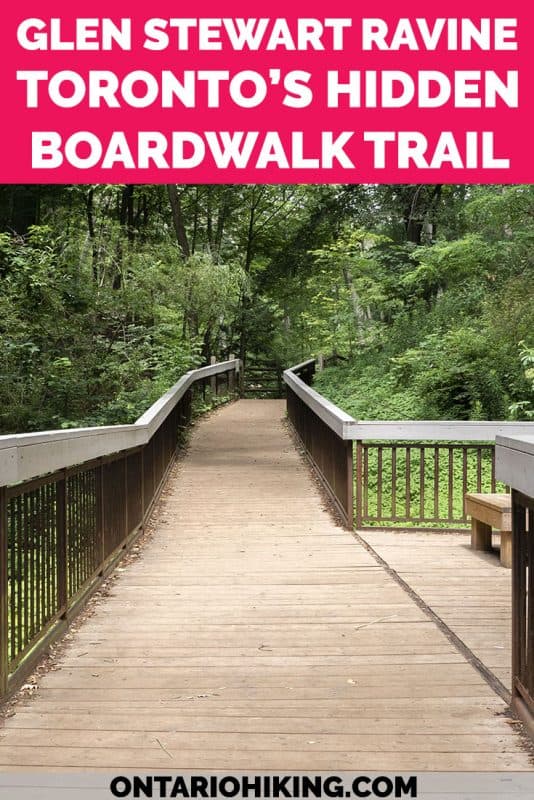 You'd hardly believe that this scenic hiking trail is in the middle of Toronto! The Glen Stewart Ravine is a hidden forest oasis with an elevated boardwalk. It's a lovely hike with a canopy of trees overhead, and one of the best places to walk and explore nature in Toronto. #Toronto #Ontario #Canada #Hiking #Trails