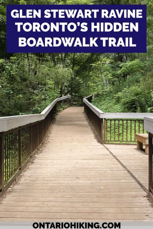 You'd hardly believe that this scenic hiking trail is in the middle of Toronto! The Glen Stewart Ravine is a hidden forest oasis with an elevated boardwalk. It's a lovely hike with a canopy of trees overhead, and one of the best places to walk and explore nature in Toronto. #Toronto #Ontario #Canada #Hiking #Trails