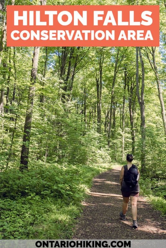 Hilton Falls Conservation Area features a beautiful waterfall at the end of the Hilton Falls Trail. However, there are several hiking trails to explore, and there's even a spot that I love more than the waterfall! Here's your guide to hiking at Hilton Falls in Milton, Ontario. #HiltonFalls #Milton #Ontario #Canada #Hiking #Waterfall