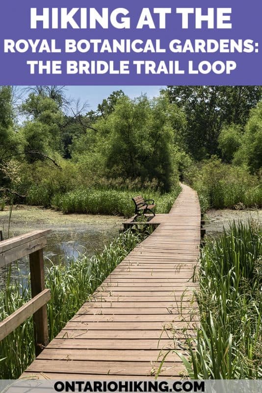 There are 31 hiking trails at the Royal Botanical Gardens in Burlington & Hamilton, Ontario. They're all free to visit and among the top regions of biodiversity in Canada! Here's how to hike the Bridle Trail Loop with picture perfect views, wildlife sightings and vast boardwalks. #RoyalBotanicalGardens #RBG #Burlington #Hamilton #Hiking #Ontario