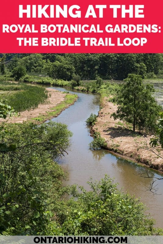 There are 31 hiking trails at the Royal Botanical Gardens in Burlington & Hamilton, Ontario. They're all free to visit and among the top regions of biodiversity in Canada! Here's how to hike the Bridle Trail Loop with picture perfect views, wildlife sightings and vast boardwalks. #RoyalBotanicalGardens #RBG #Burlington #Hamilton #Hiking #Ontario