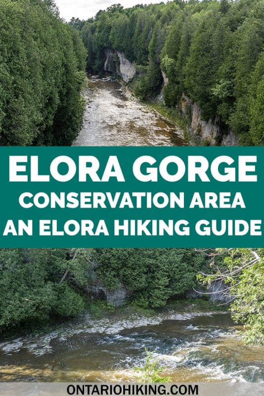 The Elora Gorge is one of the most beautiful natural features in southern Ontario, and it's part of a vibrant, beautiful village, too! Here's how you can go hiking at the Elora Gorge Conservation Area and the best ways to witness this stunning place. #Elora #Ontario #Canada #Hiking #ConservationArea
