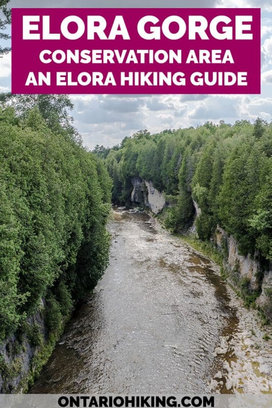 The Elora Gorge is one of the most beautiful natural features in southern Ontario, and it's part of a vibrant, beautiful village, too! Here's how you can go hiking at the Elora Gorge Conservation Area and the best ways to witness this stunning place. #Elora #Ontario #Canada #Hiking #ConservationArea