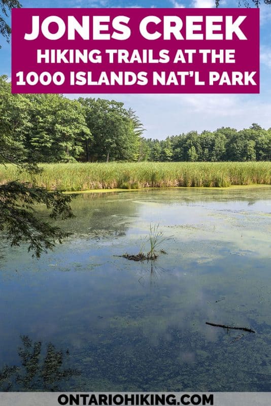 Hiking the Jones Creek Trails at the Thousand Islands National Park in Ontario, Canada. It's a fantastic place to go hiking for an hour or so with tons of beautiful viewpoints on the way.