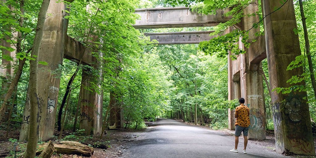 Moore Park Ravine Trail: A Peaceful Forest Retreat In Toronto - Ontario ...