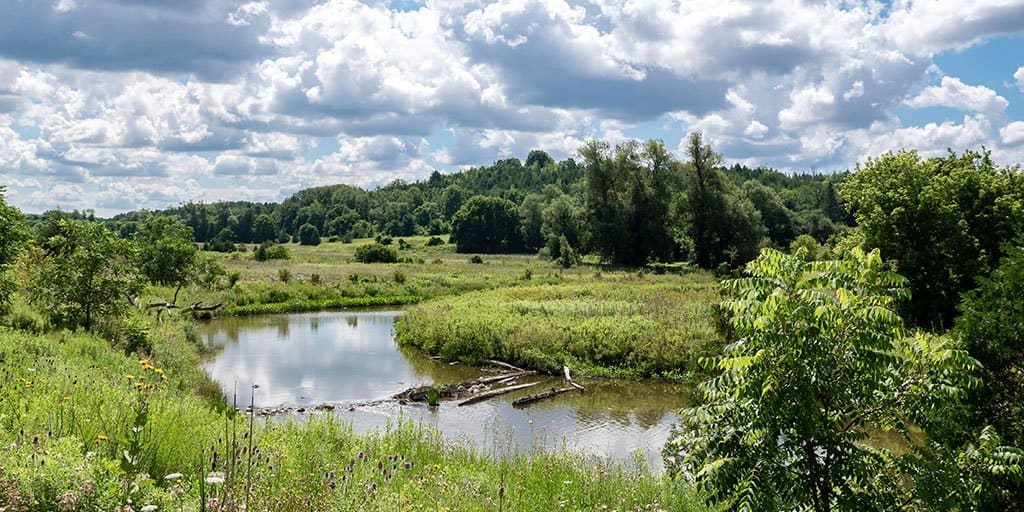 Nokiidaa Trail: The Path That Connects Three Communities - Ontario Hiking