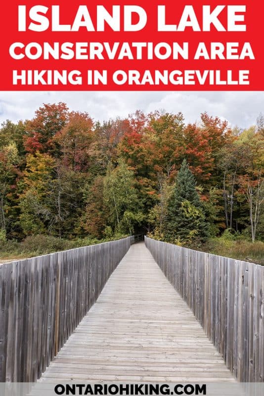 Island Lake Conservation Area is a beautiful hike around a vast lake featuring lush forests, lengthy boardwalks, and expansive bridges. You'll be able to spot lots of birds and wildlife. It's one of the best hikes in Orangeville and the entire region.