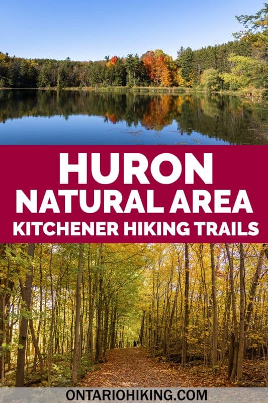 Huron Natural Area has some of the best hiking trails in Kitchener, Ontario. It's a stunning natural space featuring six trails, a beautiful pond, and forests with tall trees. Come along as I show you how to plan your visit!