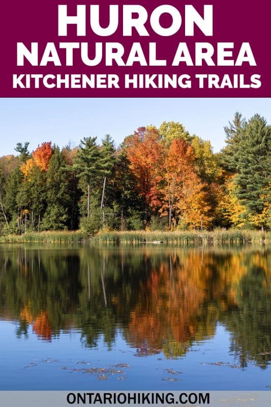 Huron Natural Area has some of the best hiking trails in Kitchener, Ontario. It's a stunning natural space featuring six trails, a beautiful pond, and forests with tall trees. Come along as I show you how to plan your visit!
