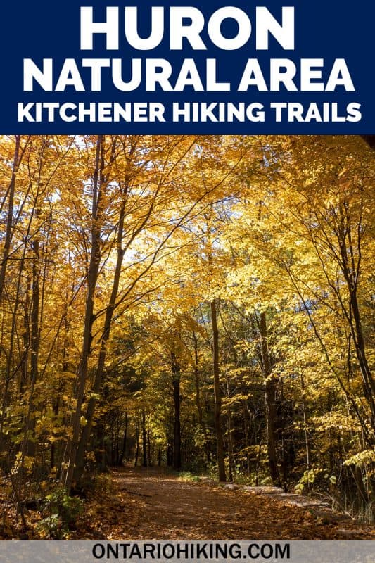 Huron Natural Area has some of the best hiking trails in Kitchener, Ontario. It's a stunning natural space featuring six trails, a beautiful pond, and forests with tall trees. Come along as I show you how to plan your visit!