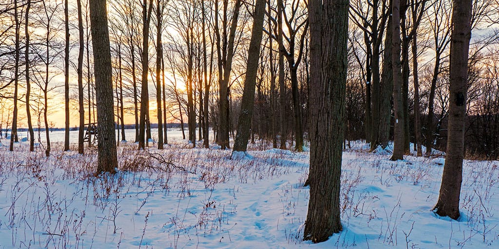 Winter Hiking Tips: Ultimate Guide to Hiking in the Snow - Ontario