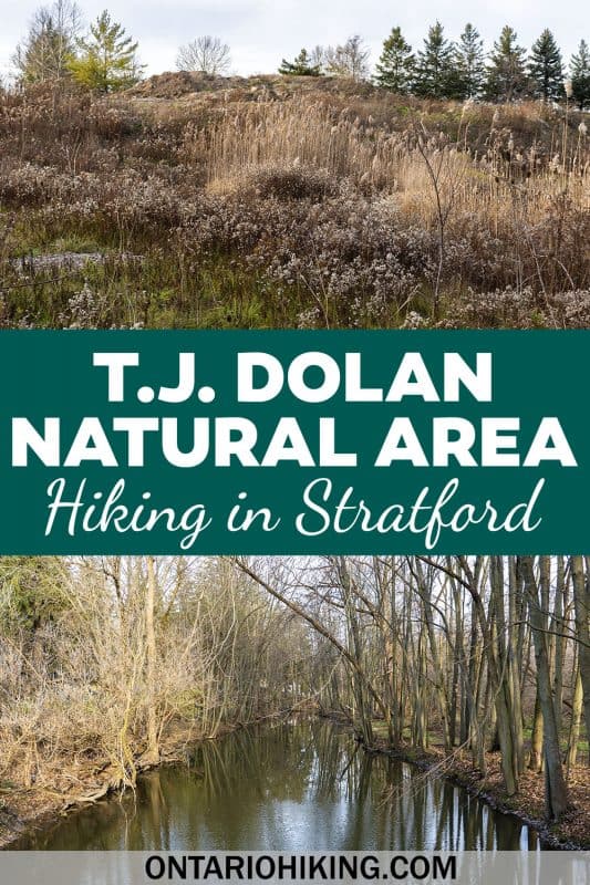 T.J. Dolan Natural Area is a wonderful place to go hiking in Stratford, Ontario. You can walk right along the river on these quiet, picturesque trails.