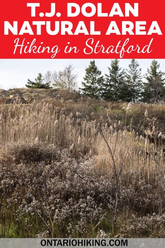 T.J. Dolan Natural Area is a wonderful place to go hiking in Stratford, Ontario. You can walk right along the river on these quiet, picturesque trails.