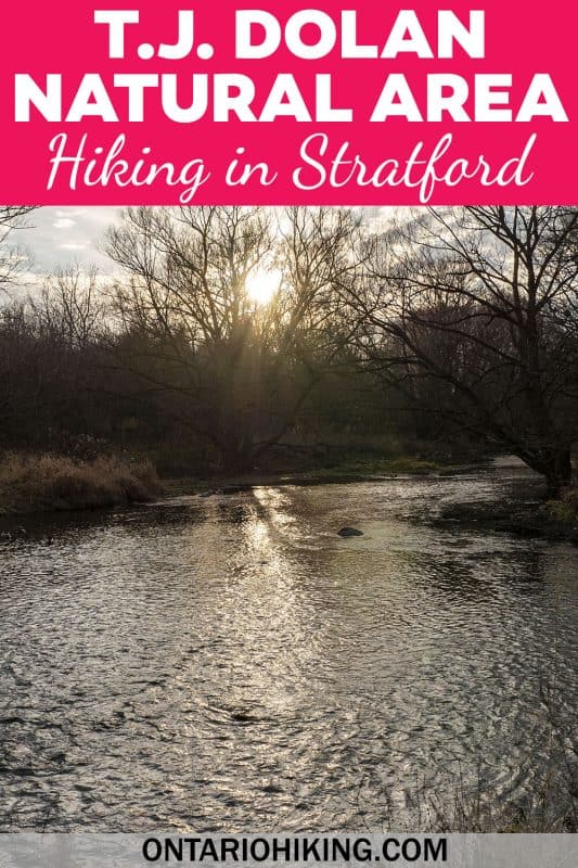 T.J. Dolan Natural Area is a wonderful place to go hiking in Stratford, Ontario. You can walk right along the river on these quiet, picturesque trails.
