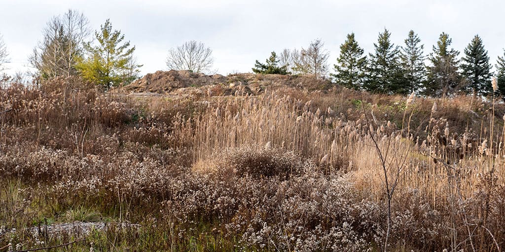 TJ Dolan Natural Area