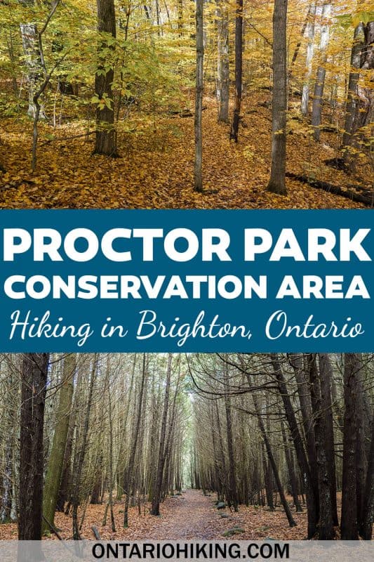 The ultimate hiking guide to Proctor Park Conservation Area in Brighton, Ontario. These beautiful trails in the Bay of Quinte region in southeastern Ontario are a hidden gem! Let me show you how to explore these amazing trails.