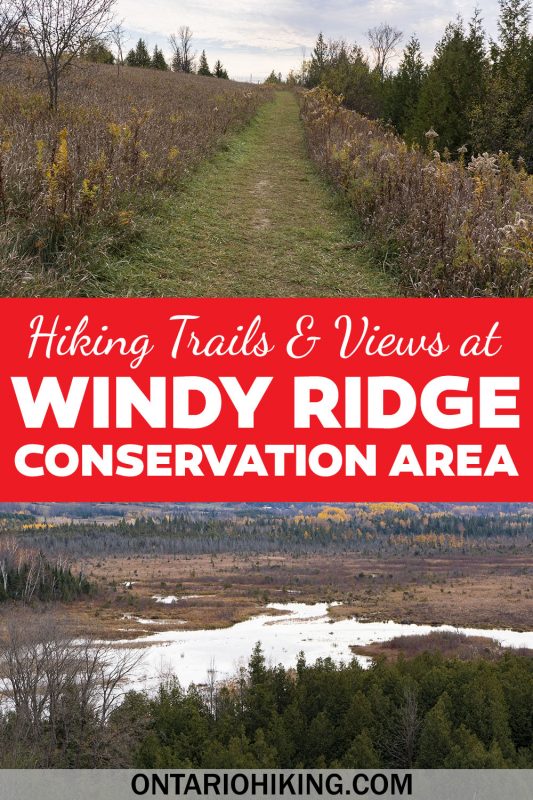 Windy Ridge Conservation Area is a great place for a short hike with amazing scenery. There's a panoramic lookout that you'll love. This is an awesome hiking trail to check out near Peterborough, Lindsay, and the Kawarthas.