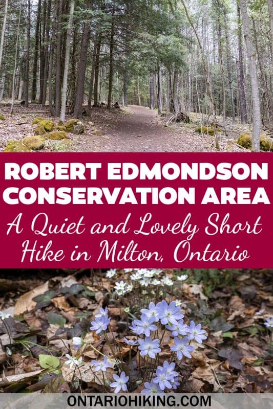 Robert Edmondson Conservation Area is a little known park in Milton, Ontario. It's free to visit and there's a lovely forest trail and lake.