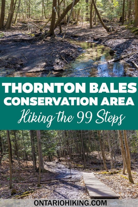 Once you've hiked the 99 steps at Thornton Bales Conservation Area, continue your hiking adventure at Jokers Hill (King City, Ontario).