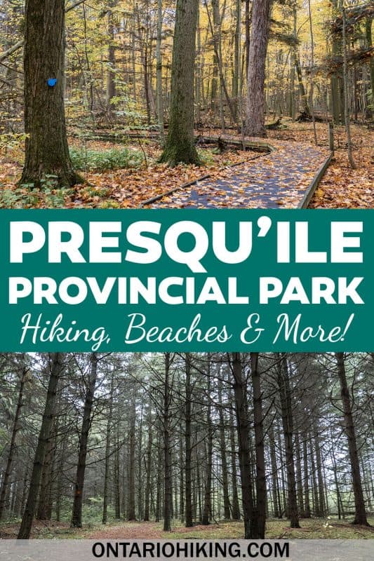 Presqu'ile Provincial Park is the perfect place to plan summer adventures in Ontario, Canada. There are tons of hiking trails, beaches, camping, a lighthouse, birding, and so much more!