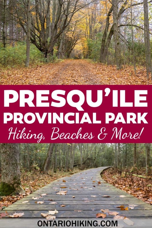 Presqu'ile Provincial Park is the perfect place to plan summer adventures in Ontario, Canada. There are tons of hiking trails, beaches, camping, a lighthouse, birding, and so much more!