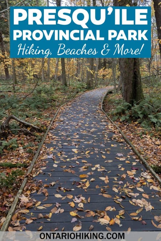Presqu'ile Provincial Park is the perfect place to plan summer adventures in Ontario, Canada. There are tons of hiking trails, beaches, camping, a lighthouse, birding, and so much more!
