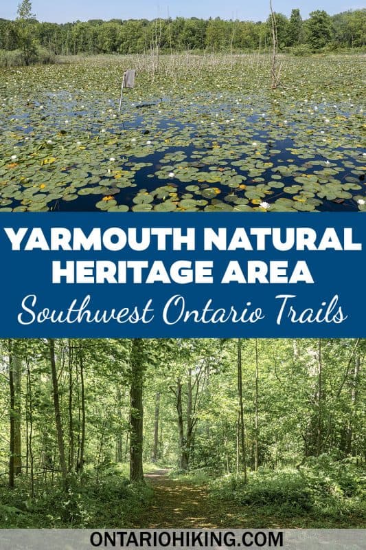 Yarmouth Natural Heritage Area is a wonderful place to go hiking and explore nature in Elgin County, Ontario. It's located near the village of Sparta in Southwest Ontario. See beautiful wetlands and Carolinian forest.
