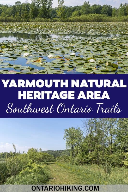 Yarmouth Natural Heritage Area is a wonderful place to go hiking and explore nature in Elgin County, Ontario. It's located near the village of Sparta in Southwest Ontario. See beautiful wetlands and Carolinian forest.