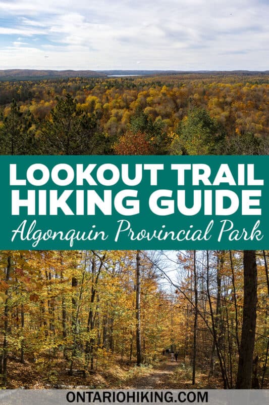 Lookout Trail Algonquin Park: A brief hike to a lookout point where you can admire spectacular views of Algonquin Provincial Park.