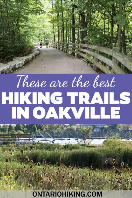 These are the best walking trails and hiking trails in Oakville, Ontario. There's a provincial park plus many community trails to experience.