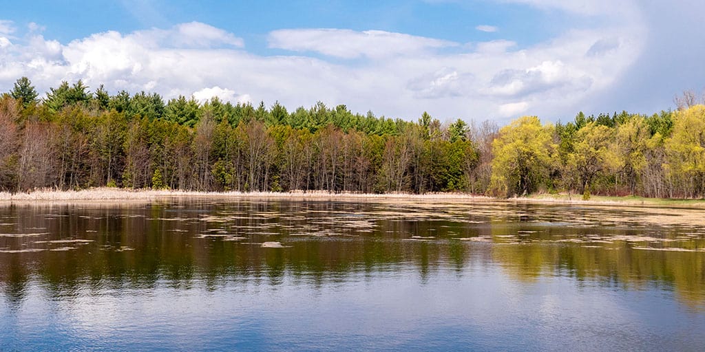Milton Hiking Trails