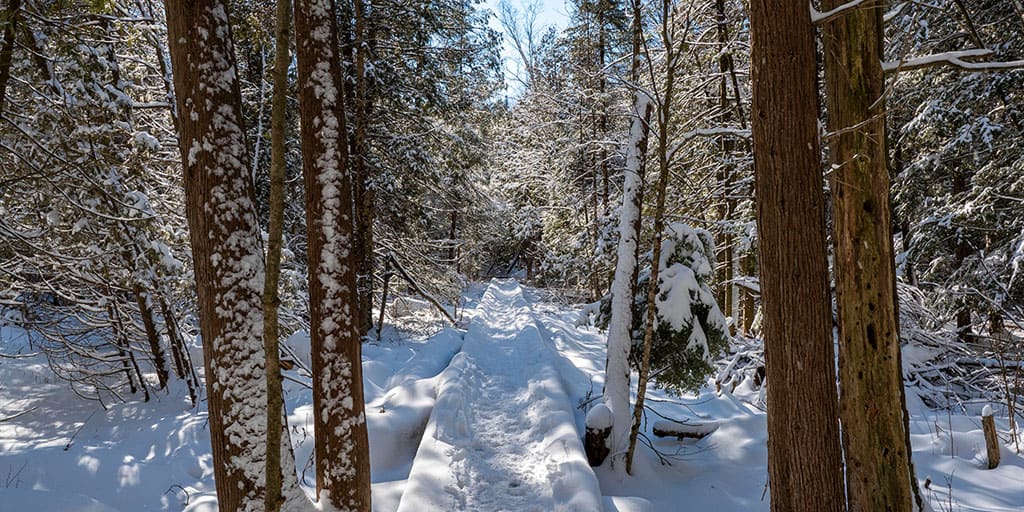 Rattlesnake Point Conservation Area
