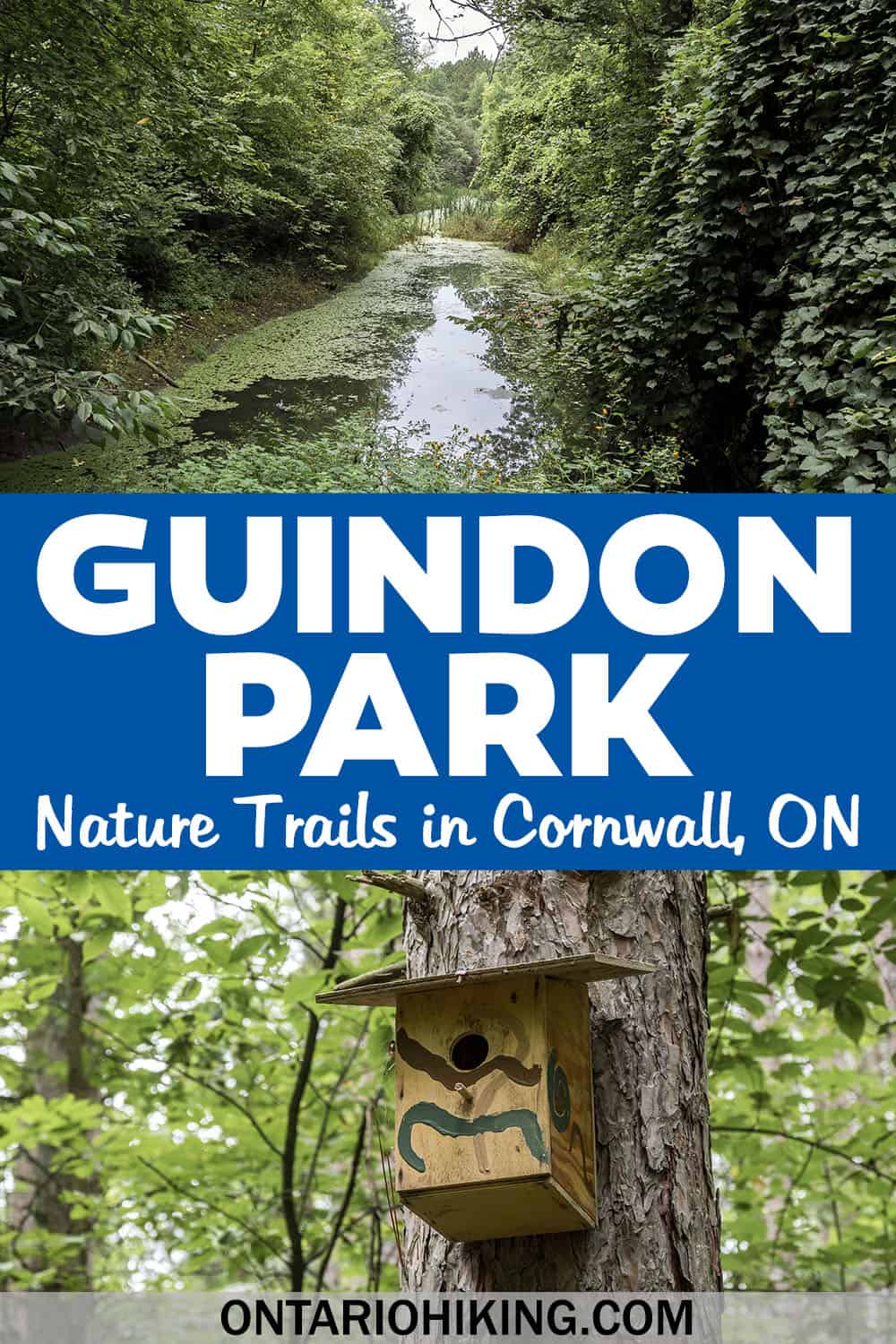 Guindon Park is a wonderful place to go hiking in Cornwall, Ontario. There are many peaceful trails thru the forest in this expansive park.