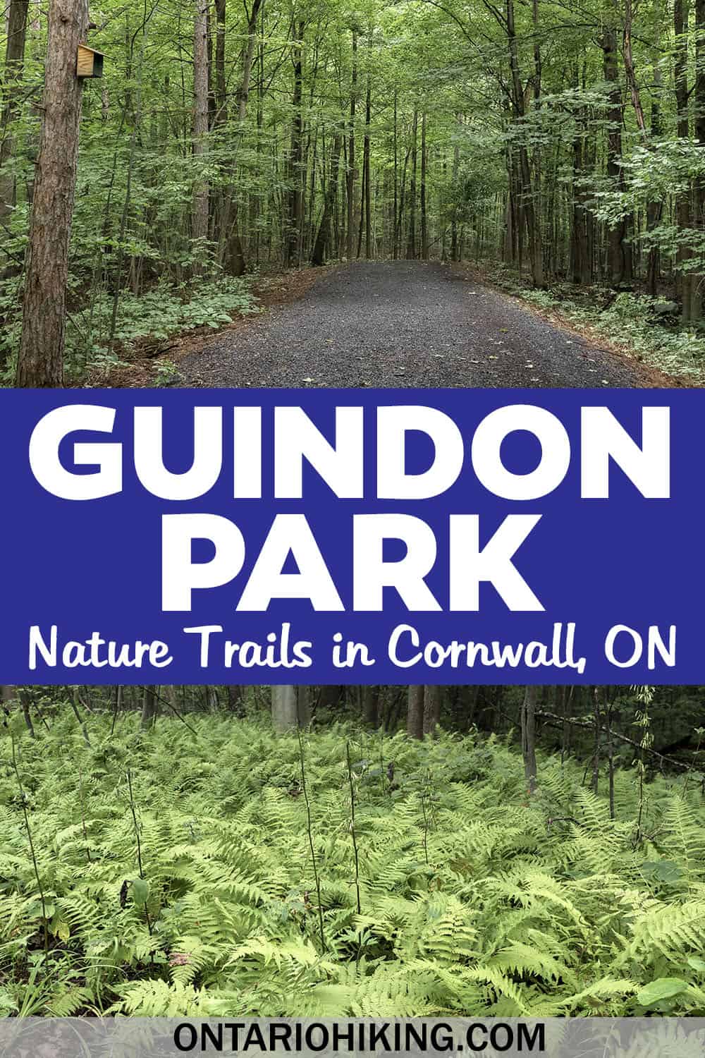 Guindon Park is a wonderful place to go hiking in Cornwall, Ontario. There are many peaceful trails thru the forest in this expansive park.