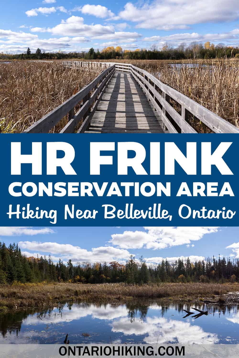 How to plan a hiking trip to HR Frink Conservation Area. There are kilometres of wonderful trails, including the Wetland Ecology Boardwalk.