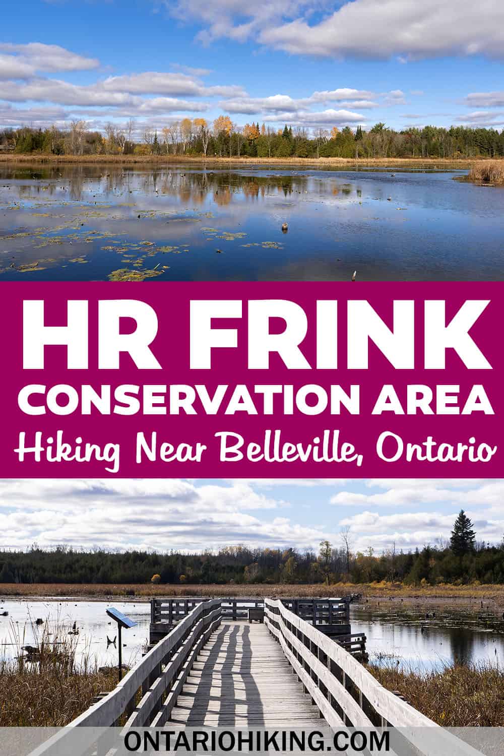 How to plan a hiking trip to HR Frink Conservation Area. There are kilometres of wonderful trails, including the Wetland Ecology Boardwalk.