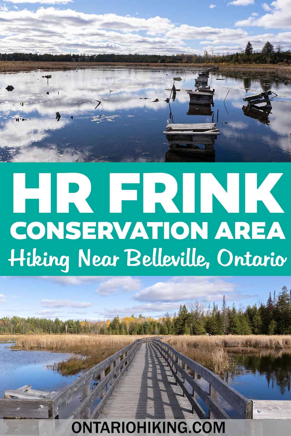 How to plan a hiking trip to HR Frink Conservation Area. There are kilometres of wonderful trails, including the Wetland Ecology Boardwalk.